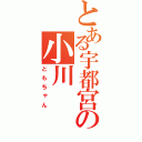 とある宇都宮の小川（ともちゃん）