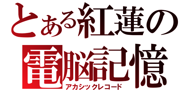 とある紅蓮の電脳記憶（アカシックレコード）