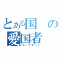 とある国の愛国者（パトリオット）