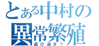 とある中村の異常繁殖（遊び過ぎ？）