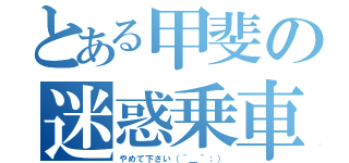 とある甲斐の迷惑乗車（やめて下さい（＾＿＾；））