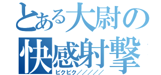 とある大尉の快感射撃（ビクビク／／／／／）