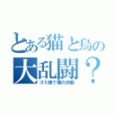 とある猫と烏の大乱闘？（ゴミ捨て場の決戦）