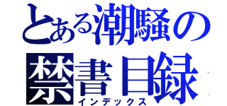 とある潮騒の禁書目録（インデックス）