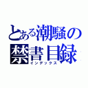 とある潮騒の禁書目録（インデックス）