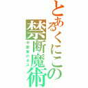 とあるくにこの禁断魔術（中居家のボス）