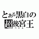 とある黒白の超後宮王（ ハ レ ム ）