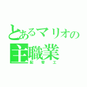 とあるマリオの主職業（配管工）