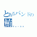 とあるバンドの鮪（ヴォーカル）