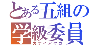 とある五組の学級委員（カナイアヤカ）