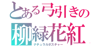 とある弓引きの柳緑花紅（ナチュラルポスチャー）