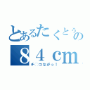 とあるたくとぅの８４ｃｍ（チ◯コながっ！）