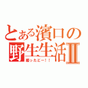 とある濱口の野生生活Ⅱ（獲ったどー！！）