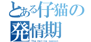 とある仔猫の発情期（Ｔｈｅ ｍａｔｉｎｇ ｓｅａｓｏｎ）