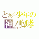 とある少年の神ノ咆哮（ゴッドブレス）