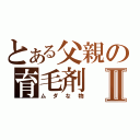 とある父親の育毛剤Ⅱ（ムダな物）