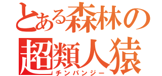 とある森林の超類人猿（チンパンジー）