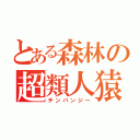 とある森林の超類人猿（チンパンジー）