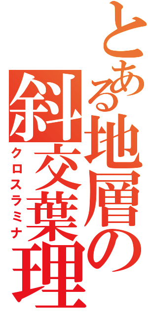 とある地層の斜交葉理（クロスラミナ）