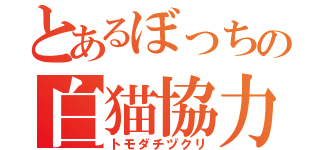 とあるぼっちの白猫協力（トモダチヅクリ）