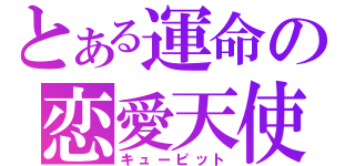 とある運命の恋愛天使（キューピット）