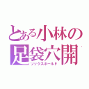 とある小林の足袋穴開（ソックスホールド）