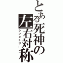 とある死神の左右対称（シンメトリー）