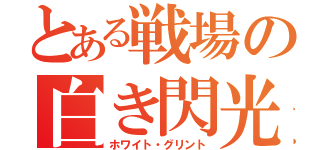 とある戦場の白き閃光（ホワイト・グリント）