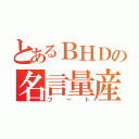 とあるＢＨＤの名言量産（フート）