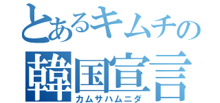 とあるキムチの韓国宣言（カムサハムニダ）