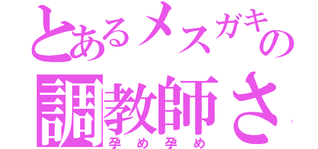 とあるメスガキの調教師さん（孕め孕め）