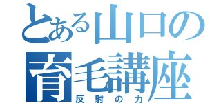 とある山口の育毛講座（反射の力）