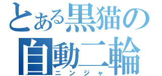 とある黒猫の自動二輪（ニンジャ）