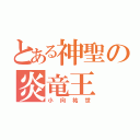 とある神聖の炎竜王（小向祐世）