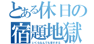 とある休日の宿題地獄（いくらなんでも多すぎる）