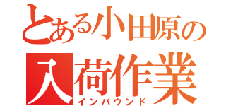 とある小田原の入荷作業（インバウンド）