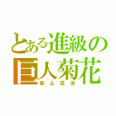 とある進級の巨人菊花（禁止屁孩）