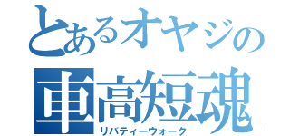 とあるオヤジの車高短魂（リバティーウォーク）