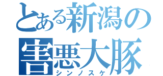 とある新潟の害悪大豚（シンノスケ）