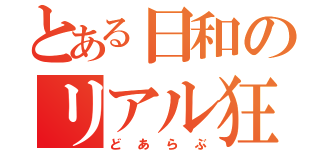 とある日和のリアル狂人（どあらぶ）