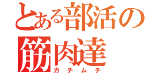 とある部活の筋肉達（ガチムチ）