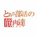 とある部活の筋肉達（ガチムチ）