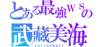 とある最強ＷＳの武藏美海（ｖｏｌｌｅｙｂａｌｌ）