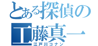 とある探偵の工藤真一（江戸川コナン）