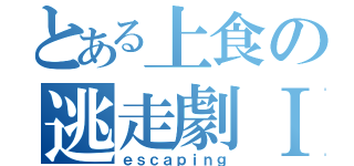 とある上食の逃走劇Ⅰ（ｅｓｃａｐｉｎｇ）