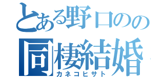 とある野口のの同棲結婚（カネコヒサト）