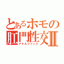 とあるホモの肛門性交Ⅱ（アナルファック）