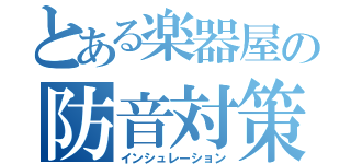 とある楽器屋の防音対策（インシュレーション）