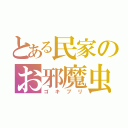 とある民家のお邪魔虫（ゴ　キ　ブ　リ）