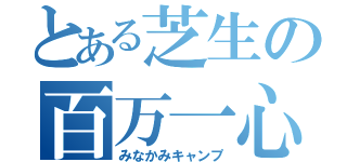 とある芝生の百万一心（みなかみキャンプ）